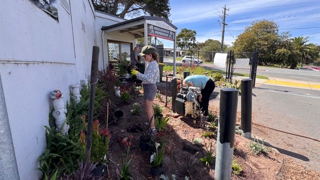The Jackson family planting the new entrance garden at the Frankston Dolphins with plants donated by Southern Plants