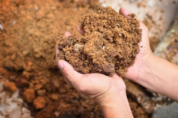 Dense clay soil held in two hands