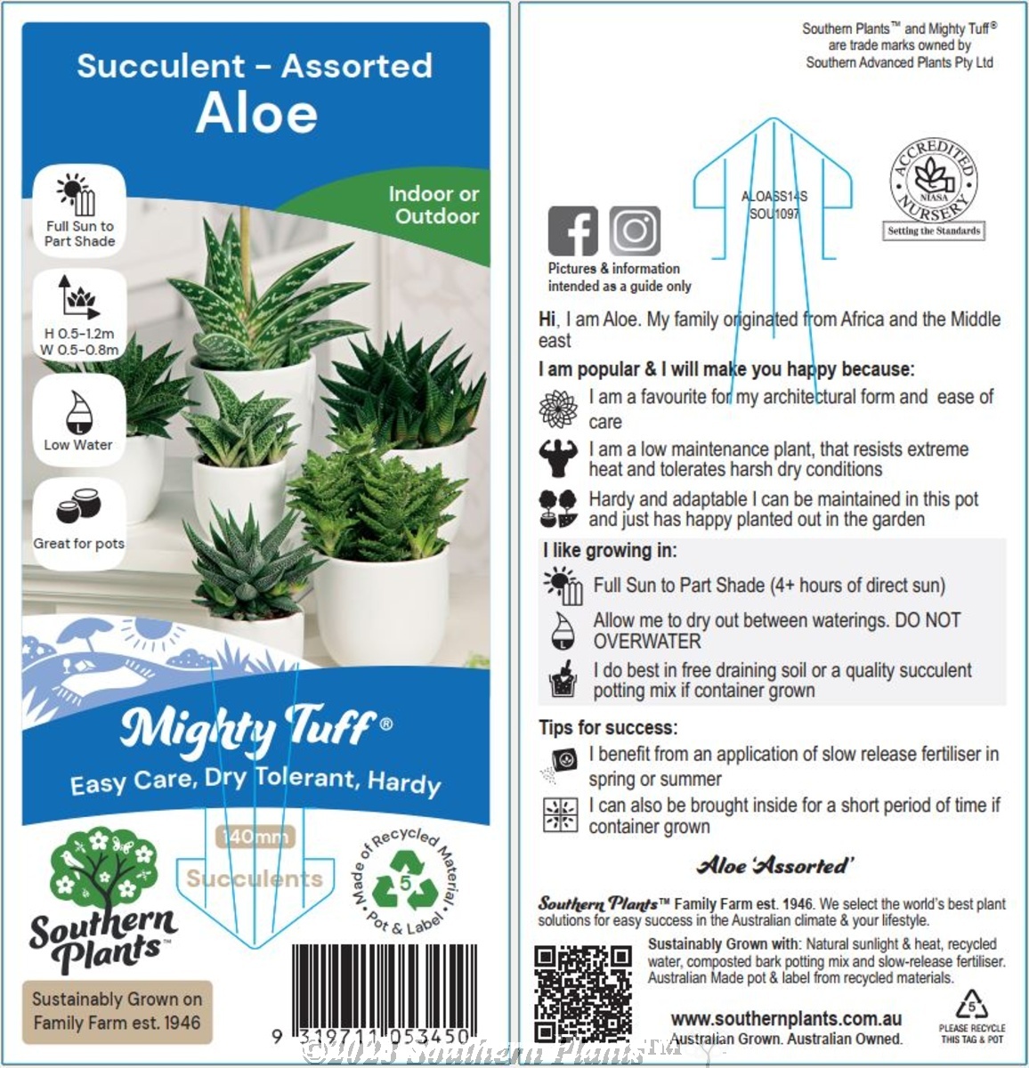 Aloe